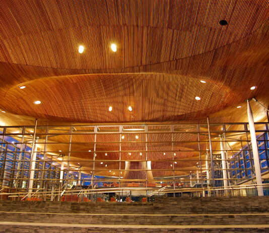 SENEDD VOTES UNANIMOUSLY TO BACK OUR STEEL INDUSTRY IN CLEAR DIVISION WITH DOWNING STREET Welsh National Assembly Senedd scaled