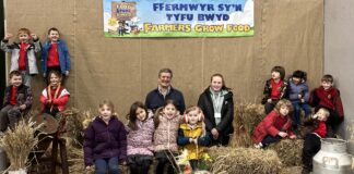 Over 1,200 children learn how the ingredients for pancakes are produced locally in successful two-day Food Story event Ysgol Bro Ingli with arable farmer Walter Simon scaled