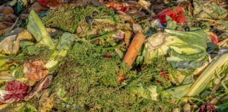 Global Recycling Day: 5 ways to maximise food leftovers compost 3663514 1280