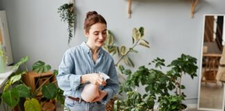 These seven houseplants will help get rid of bad odours fe3a4073 3a36 46e1 871d 3154a86e31a7