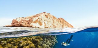 Essential Tools for Measuring Biodiversity in Ecosystems neom abjEGTj3HZY unsplash