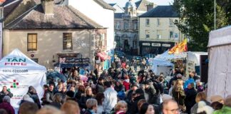 New Ten Towns Events Fund For Rural Carmarthenshire newsroom 2015 09 02 festival of senses 1194