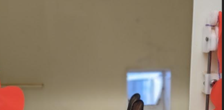 Valentine’s hope for small furry animals at RSPCA’s Colwyn Bay centre pasted image 0