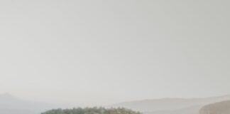 Technology and Tourism: A New Era for the Tourist Industry pexels photo 8003049