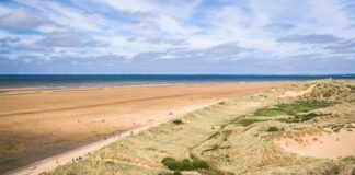 The Lesser-Known Beach Dangers Dog Owners Need To Know Beach