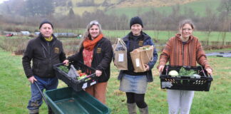 Veg growers use Farming Connect to plug gaps in knowledge to develop business Dave Ashley Emma Maxwell Anna Ross and Ruby Koffer 2 scaled