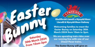 Ride the train with the Easter Bunny at Cynheidre Easter poster 1