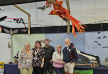 Interactive Flock2Flight felt birds display heading to Wonderwool Wales 2024 Flock to Flight group