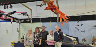 Interactive Flock2Flight felt birds display heading to Wonderwool Wales 2024 Flock to Flight group