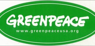 Starmer on GB Energy & CfD auction analysis – Greenpeace comment Greenpeace sticker