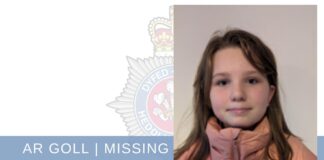 Missing Girl, Johnstown area of Carmarthen IMG 3006