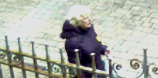 Council looks for help to identify individual spotted committing environmental offences IMG 3084