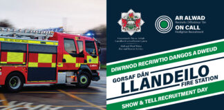 Diwrnod recriwtio Dangos a Dweud Llandeilo Show and Tell Recruitment