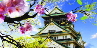 Japan is blossoming! Beat the crowds for Sakura Season by booking these 2025 tours RF Japan Osaka Castle shutterstock 177469565 scaled