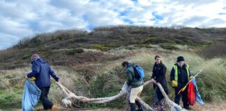 Award nomination for Roots to Recovery group Roots to Recovery 1