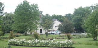 Homeowners face huge fines for trimming trees The Rose Garden Morden Hall Park geograph.org .uk 1348714
