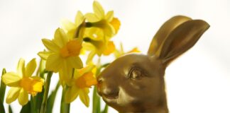 7 free activities along the west Wales coast for all the family to enjoy this Easter easter 8579196 1280