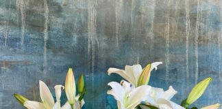 Vet warns cat owners not to buy lilies this Mother’s Day linda knicely O4AjFEWONYE unsplash scaled