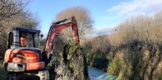 Parrot’s Feather Control at Pembrey Canal newsroom parrots feather control on pembrey canal