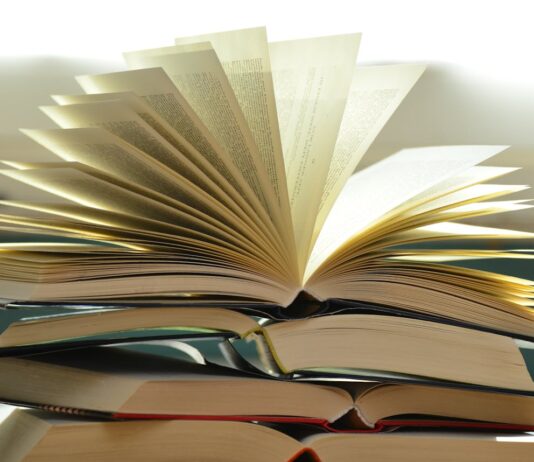 Indie bookshops on rise as passion is “better than an algorithm” pexels pixabay 159866