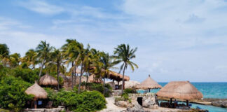 Impact Analysis: How Increased Tourism in 2024 Is Transforming Real Estate Valuations in Tulum and Playa Del Carmen unnamed 1