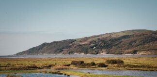 Britons Urged To Help Protect Vital Wetlands wetlands