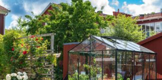 Five ways to make your greenhouse look brand new 04b293cd 9baf 4582 8b61 18ee8ba8d6cb