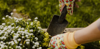 Ten spring cleaning jobs for the garden 3e2d82ab f073 444a 83aa 264b279da780