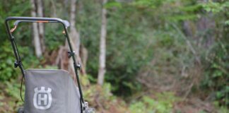 Gardeners warned to avoid lawn mowing in rainy conditions 6495ced6 d7d7 43af 9230 1293375daf95