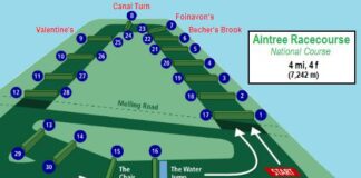 Ensuring a Safe Bet This Grand National- Navigating Online Betting with DAS Law Aintreenational