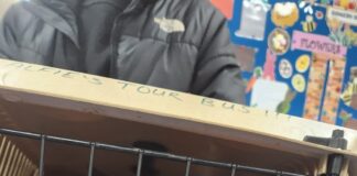 Welsh cat reunited with owner after two years thanks to microchip Alfie rescued by his microchip 1