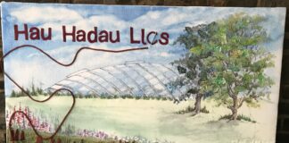 Datganiad i’r Wasg – Lansio Arddangosfa Hau Hadau Lles yng Ngardd Fotaneg Genedlaethol Cymru IMG 1884 1 scaled