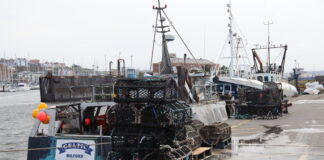 Online Crab and Lobster Fisheries Management Plan Event to be held for Wales IMG 3264 scaled