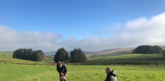 New Farming Connect modules will help farmers transition to SFS New e learning modules focusing on soil fertility and helping farmers understand the value of soil testing