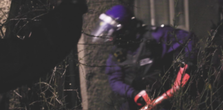 Operation Henhouse: over 400 arrests and £19m seized in national campaign tackling fraud Op Henhouse III