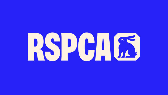 RSPCA 01 scaled RSPCA 01 scaled