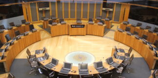 I want a Wales Senedd that provides a good NHS Senedd 1 scaled