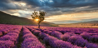 Stress Awareness month: Experts share tips on reducing stress levels through small, positive action Stress 1 scaled