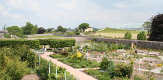 Ceramica Botanica The National Botanic Gardens Wales geograph.org .uk 185613
