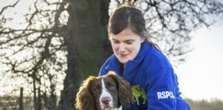 RSPCA launches ‘For Every Kind’ campaign in Wales to ‘rethink animals’ in 200th year Contact photo Untitled 1