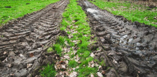 FUW Highlights Challenges During Ministerial Summit On Extreme Weather Wet field1