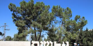 Yad Vashem Expresses Concern Over Covering of Holocaust Memorials and Monuments Yad Vashem Holocaust Memorial 41464374160