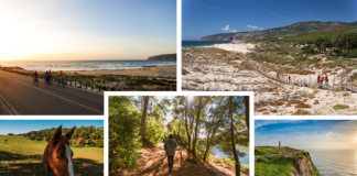 Cascais on Foot: Go Green with Three Breathtaking Walking Routes aec7f092aa9ad1c76b5d73430cf7ed942f513fa2