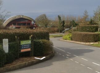 Calls To Extend Biofuel Business Approved bluestone blue lagoon gs view