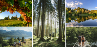 Earth Day 2024: Explore Slovenia’s Greenest Getaways ffce6f7a14e49b57d76730e41574ef01740197a2