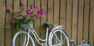 Expert reveals garden laws Brits could face fines of £1,000s for breaching garden 7005986 1280