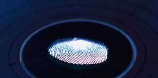 Understanding the Risks: How Hackers Could Access Your Fingerprint Through Your Smartphone george prentzas SRFG7iwktDk unsplash