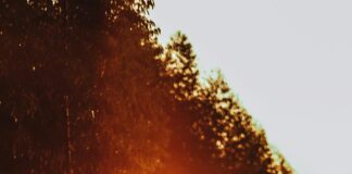 Explore the natural landscape of Mallorca on horseback pexels helena lopes 3764465