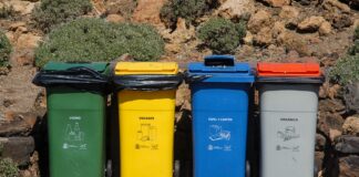 Wales Workplace Waste Law: How can UK businesses go green with their waste? pexels jan van der wolf 10368942 scaled