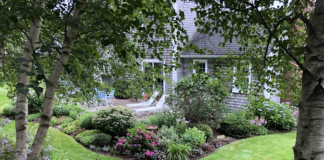 6 Turf Management Tips To Improve Turfgrass Drought Survival unnamed 2